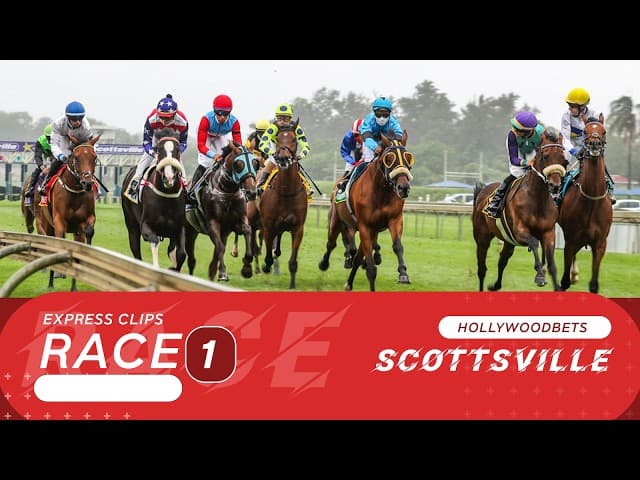 Scots Wae Hae - Hollywoodbets Scottsville, 29 July 2026