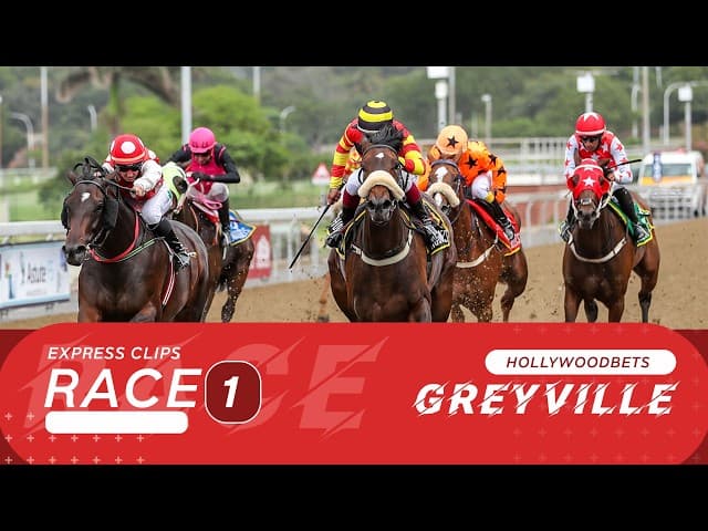Sensei Of Spin - Hollywoodbets Greyville, 11 October 2026