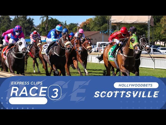 Sparrow Man - Hollywoodbets Scottsville, 29 July