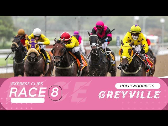 Tyrconnell - Hollywoodbets Greyville, 24 April 2026