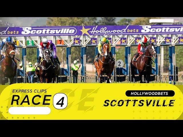 Buddy Boy - HWB Scottsville, 13 September
