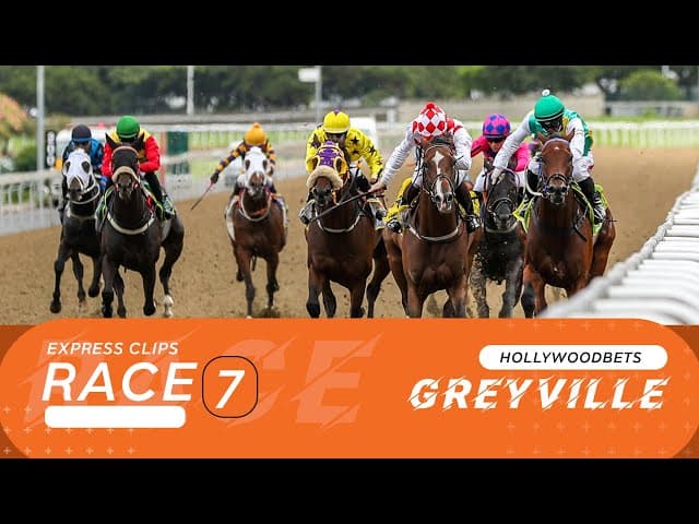 Oxalis Gold wins 2025 Byerley Turk