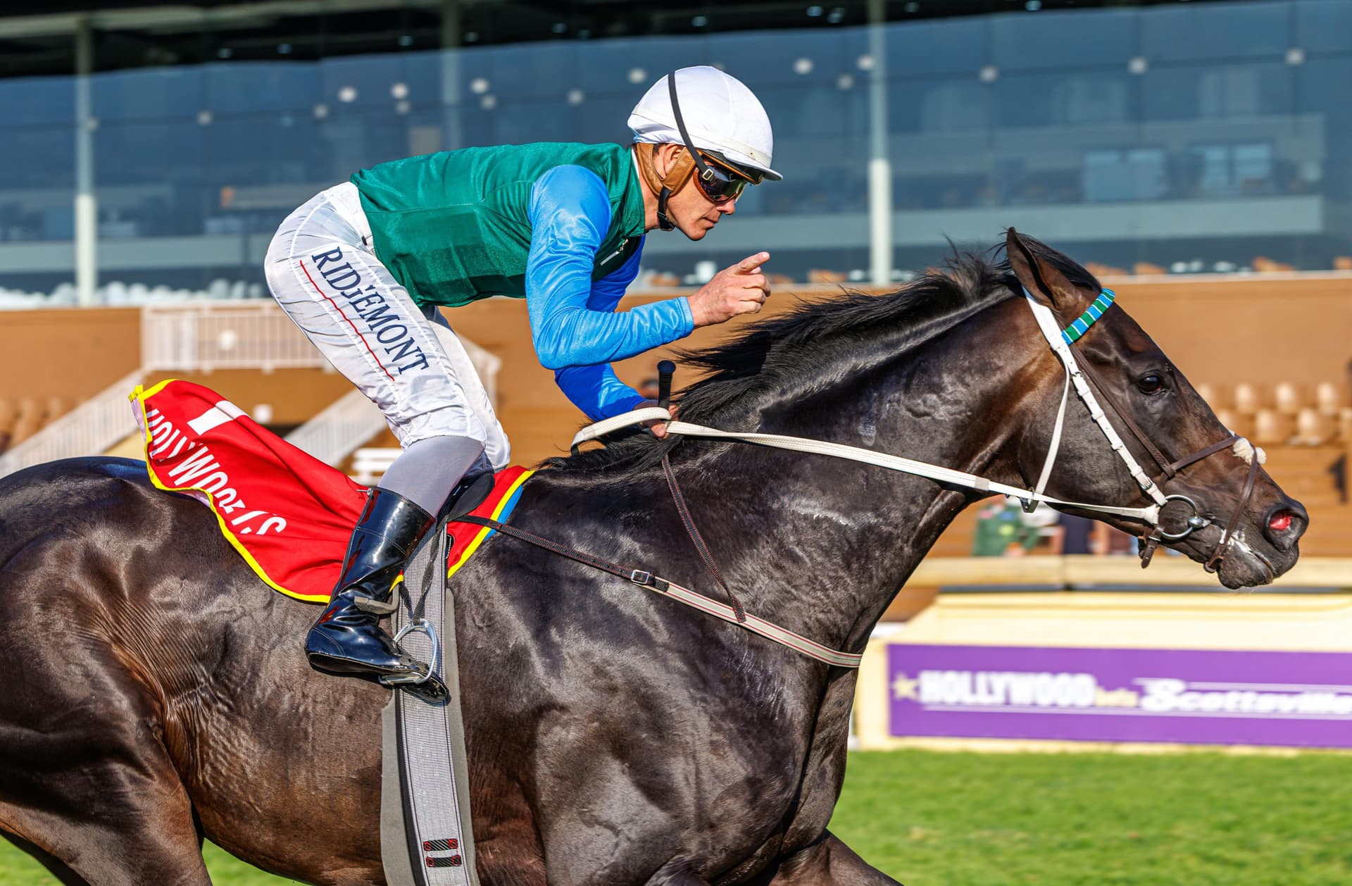 Weekend runner previews