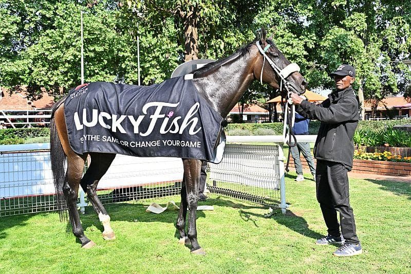 Runners, Turffontein 22 October 2026