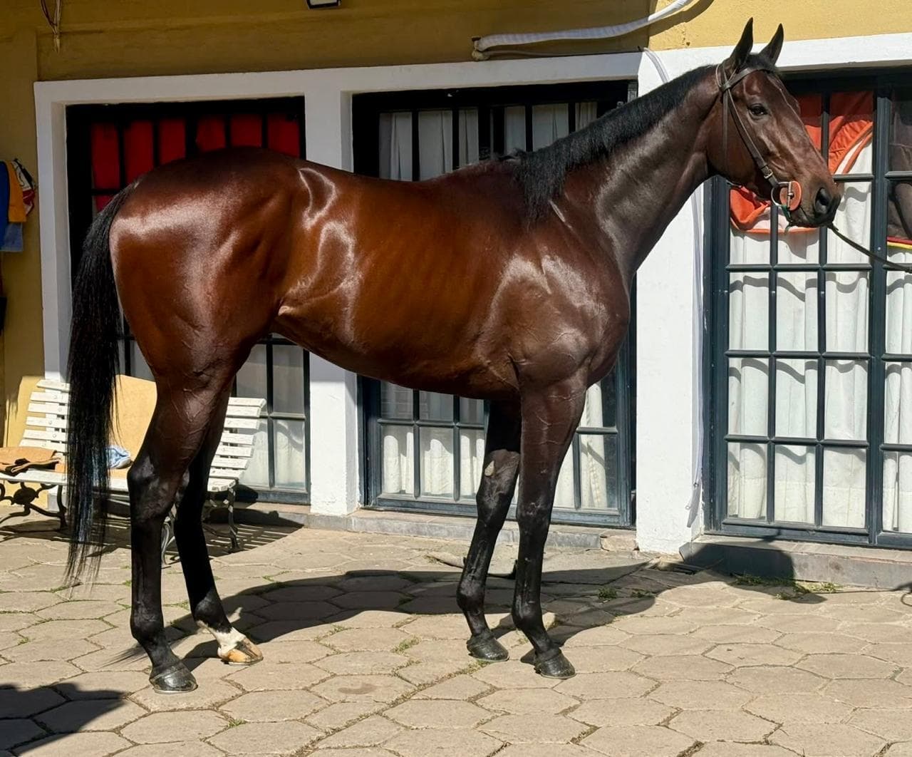 Argentine star on his way to Dubai