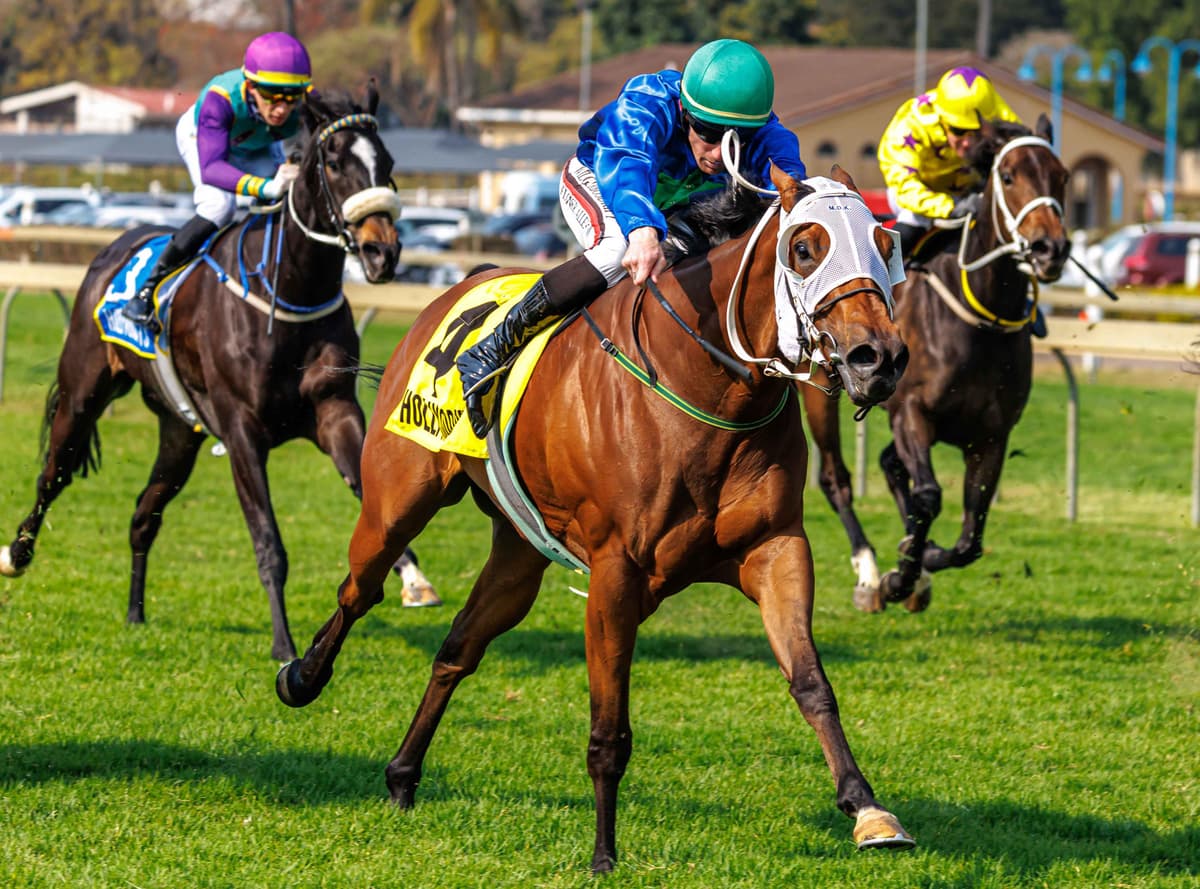 Sparkling Jubilee's successful swan song