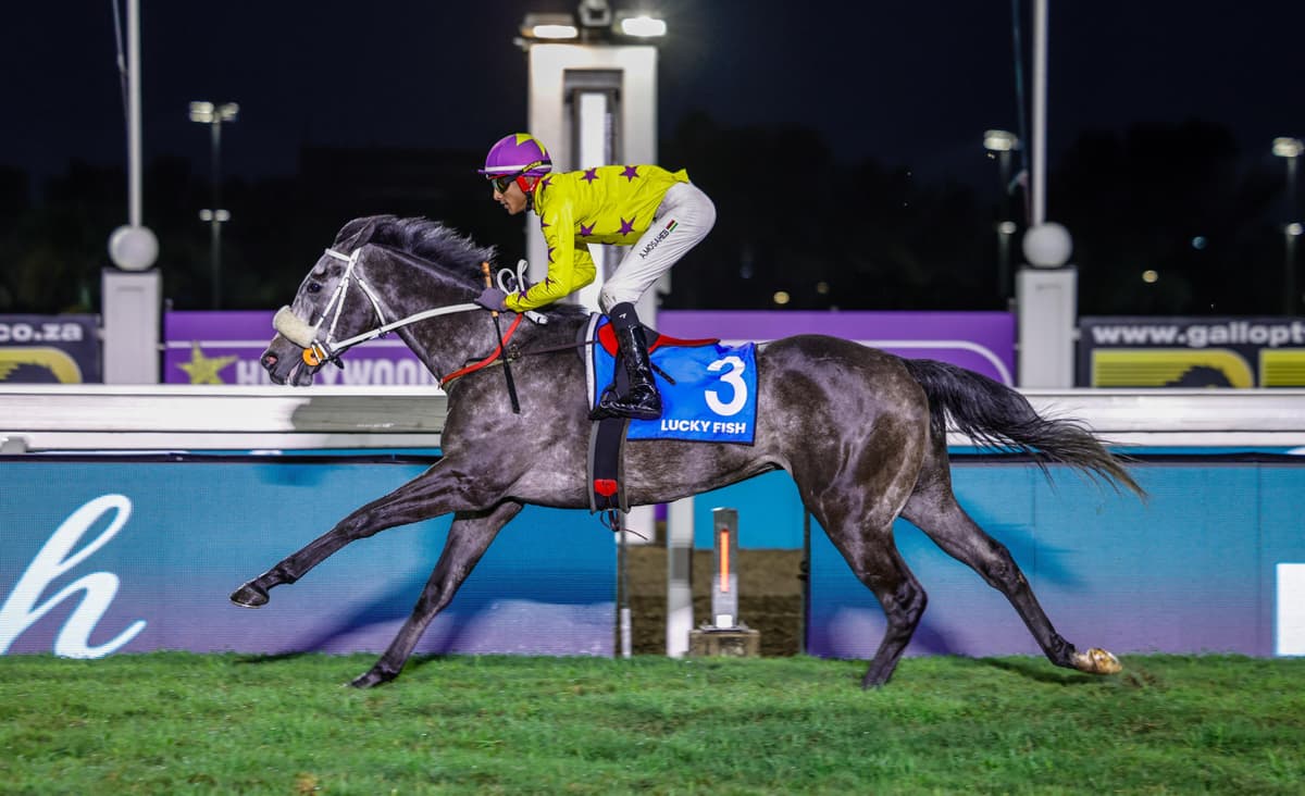 Friday runners at HWB Greyville