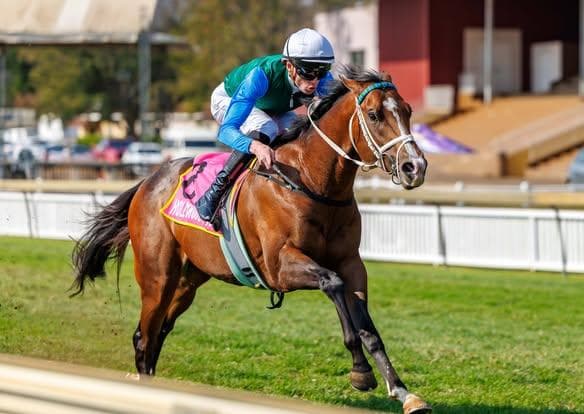 Runners at TAB Turffontein