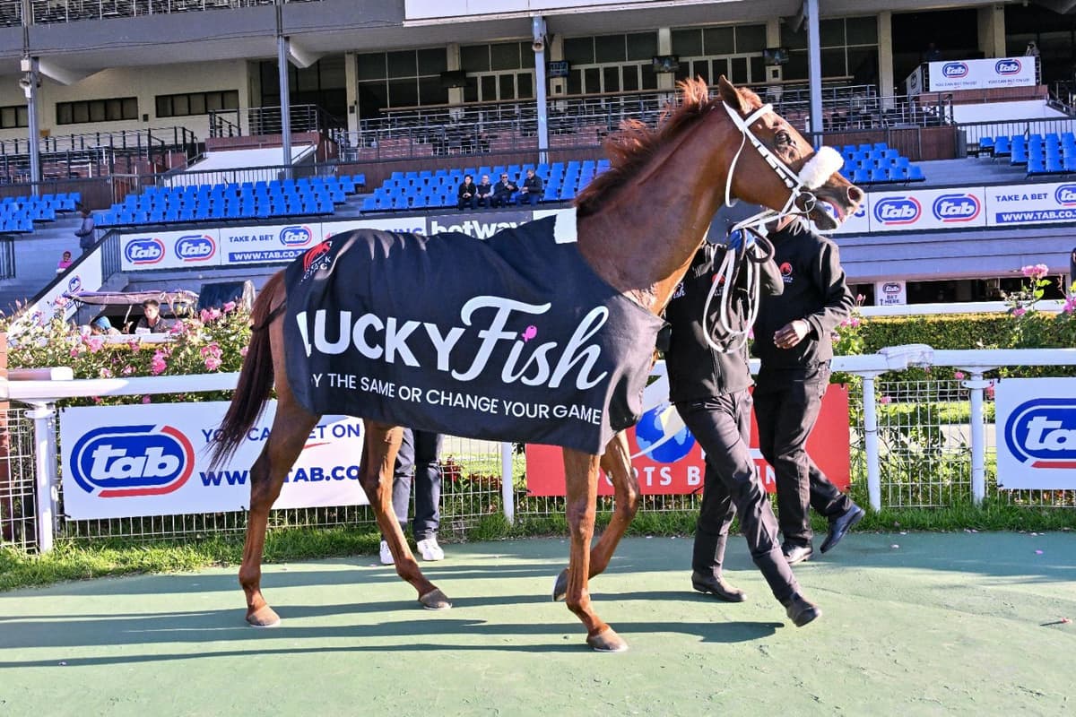 Runners at Turffontein on Sunday