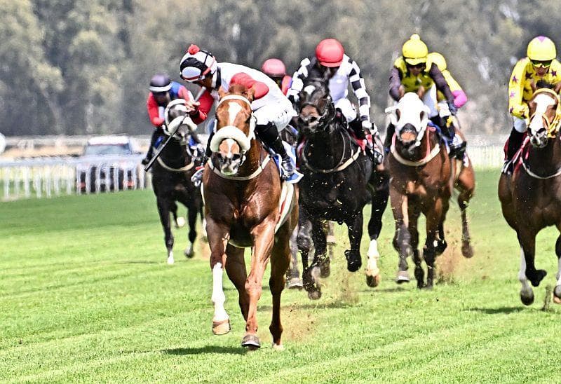 King's Mountain makes a royal debut