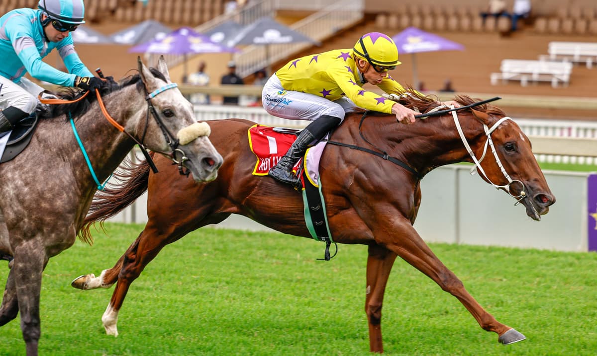 Runners at HWB Scottsville, 29 July