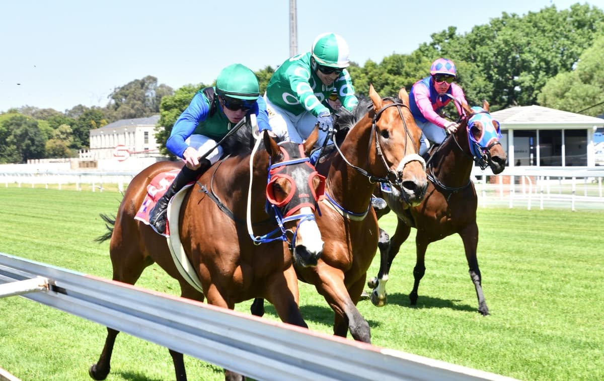 Aladdin's Lamp gets up for game win