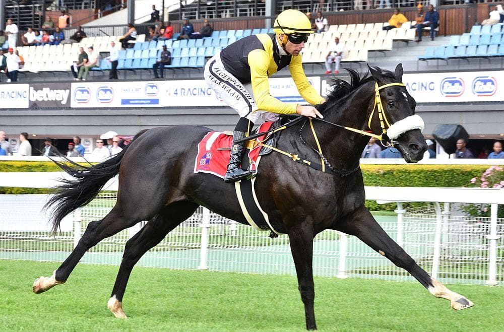 Hollywoodbets Greyville runners, 25 October 2026
