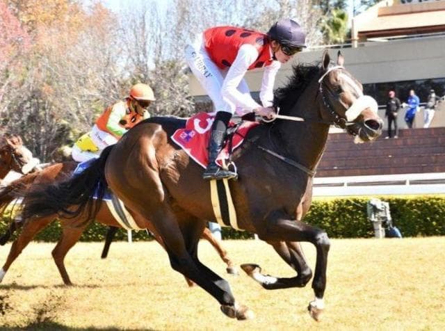 Runner comments, 23, 25 and 27 November 2025