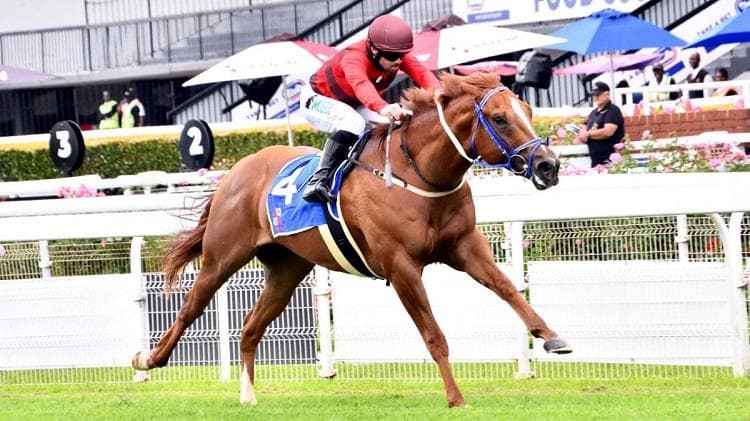 Vaal runner comments, 18 June