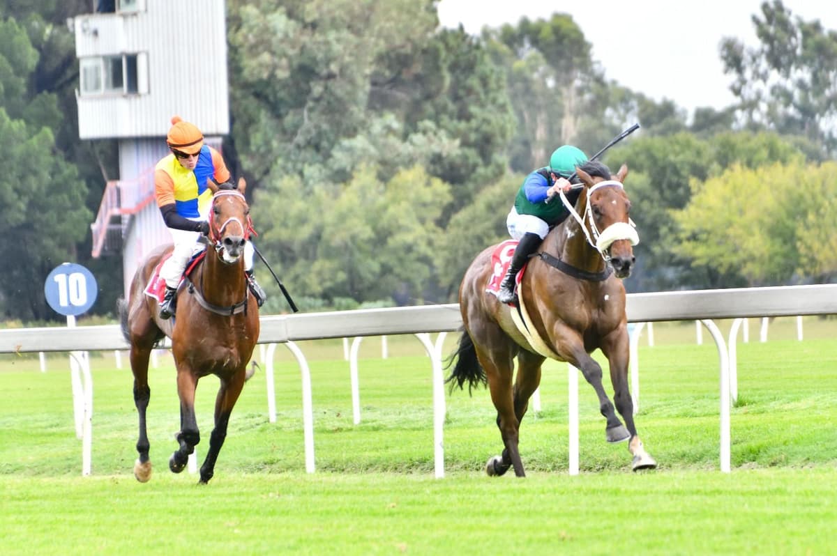 Rafeef pair Top Floor and Councillor impress