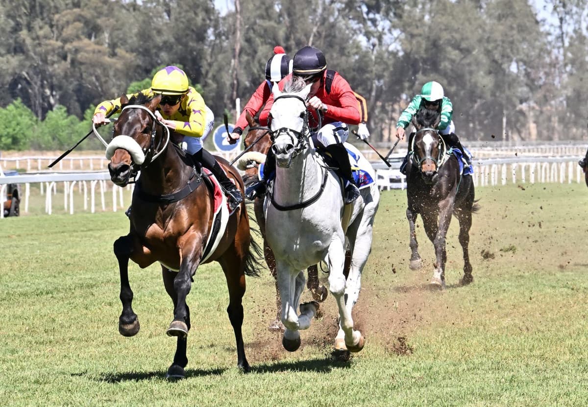 Miami Mountain off the mark