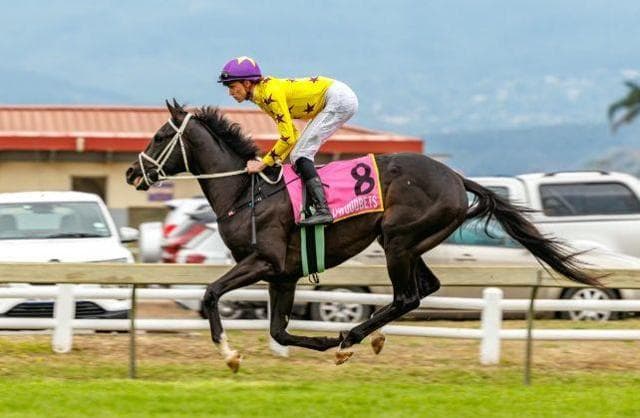 Runner comments, Vaal and Turffontein