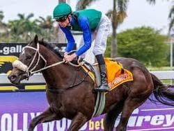 Runner previews, 18/19 February