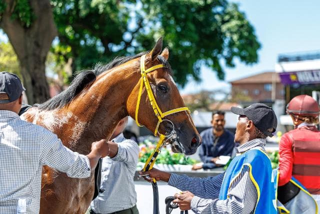 Spaarne Rivier - cover needed