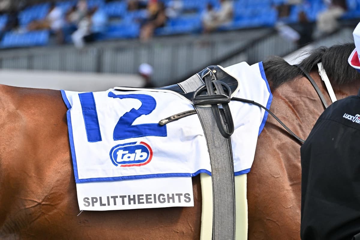 A Guineas Time That Demands Attention