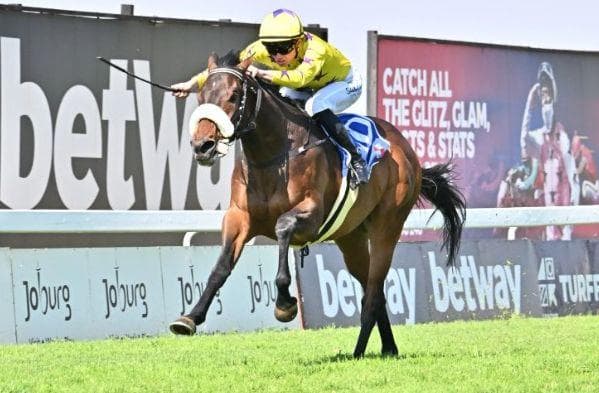 Runners at Hollywoodbets Scottsville