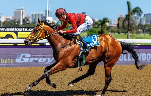 Spaarne Rivier - pillar to post