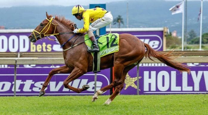 Runner comments, Turffontein and HWB Scottsville