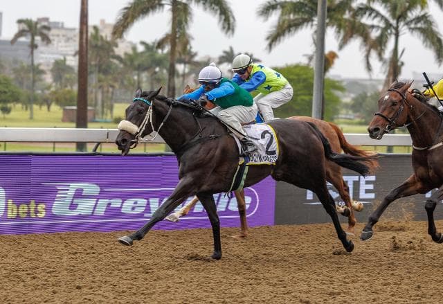 Councillor digs deep for Maiden success