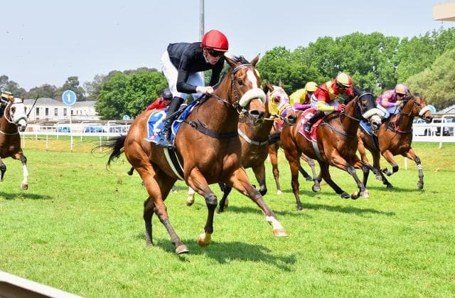 Roaming Spirit returns, winning!