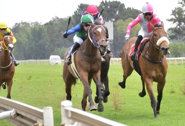 Yippee Kiyay wins a strong Graduation Plate