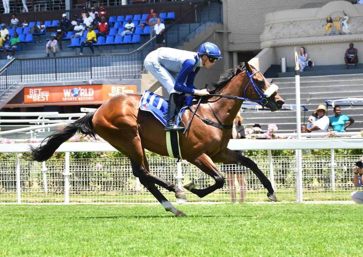 Champions Day: Runner comments