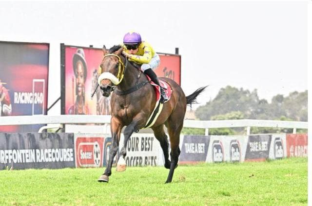 Weekend runners, HWB Greyville and Turffontein