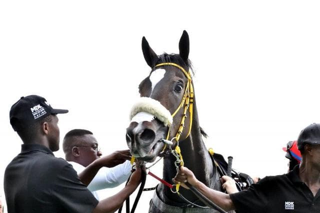 Runner previews, Summer Cup Day and weekend