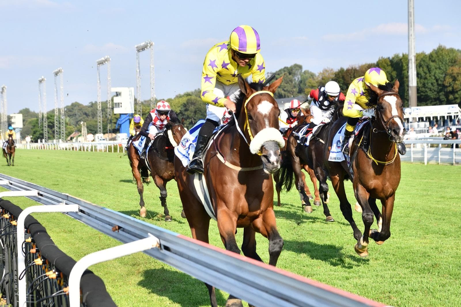 Curious Girl gets HWB Durban July call-up!