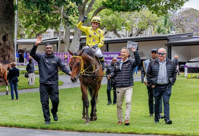Veale and Cheerscheerscheers work hard to win