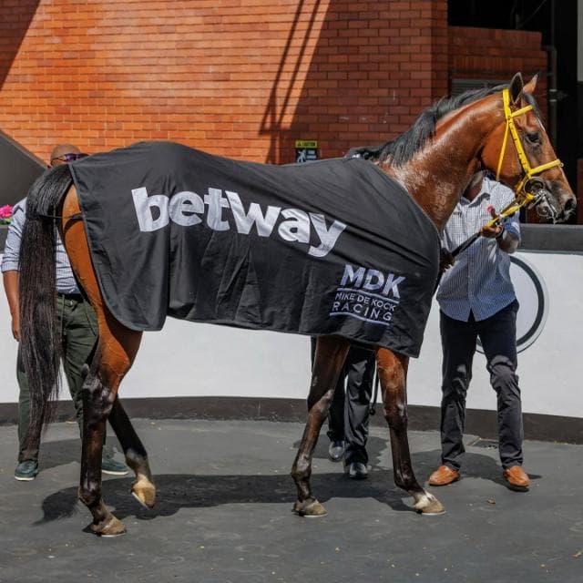 Runners for 11-13 November