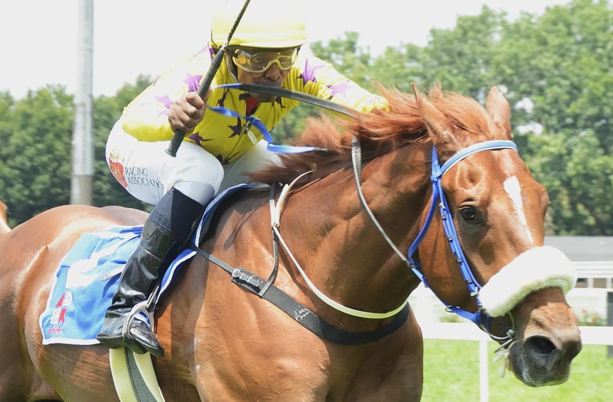 Stokesy Bowls Them Over At Last