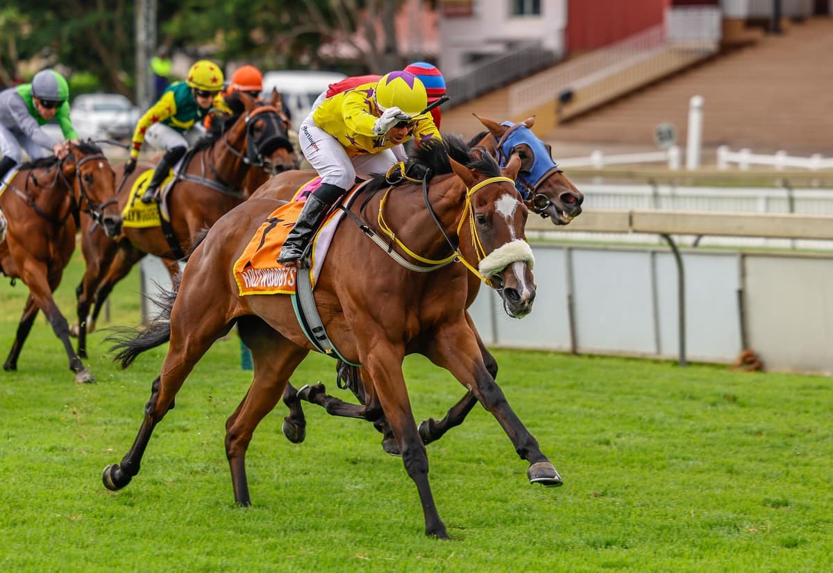 "She's tough, and she stays!"