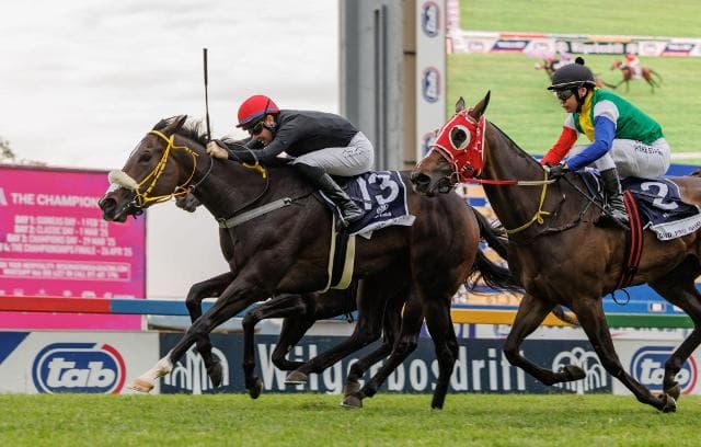 Spumante Dolce draws in the middle of Cup field