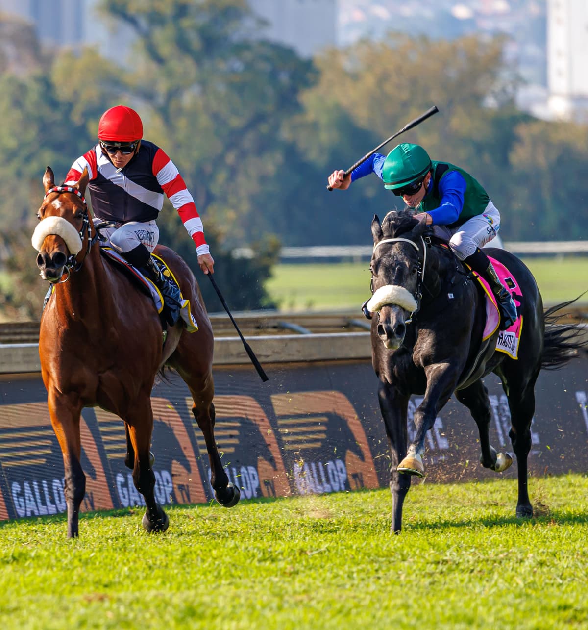 Haute Couture wins a stirring Grade 1 duel!