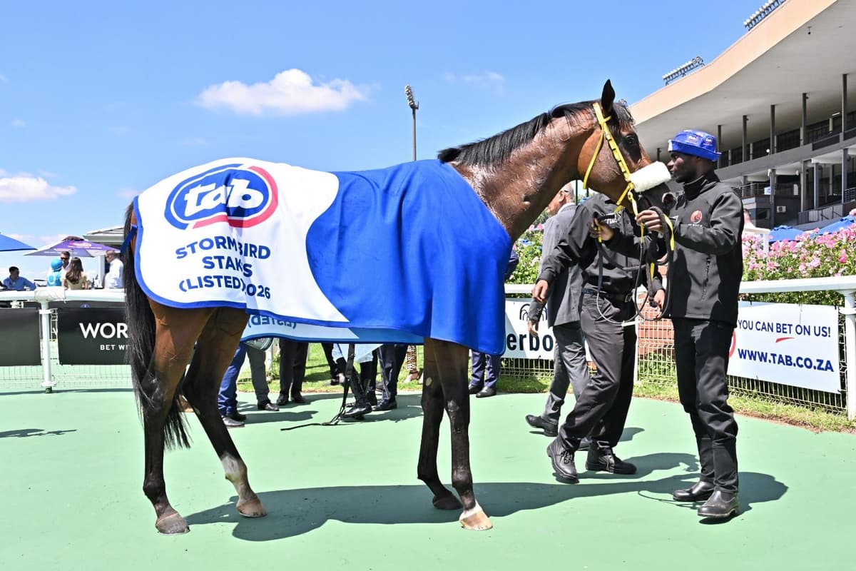 World Attraction is very smart