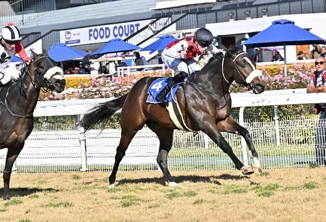 Runner previews, 26/27/28 October