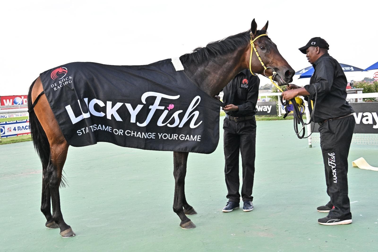 Turffontein runners, 11 June