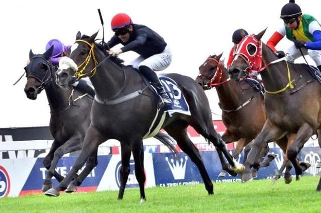 First Betway Summer Cup log