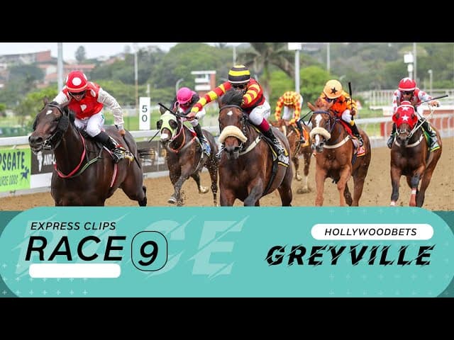 Exocet - Hollywoodbets Greyville, 3 October 2025
