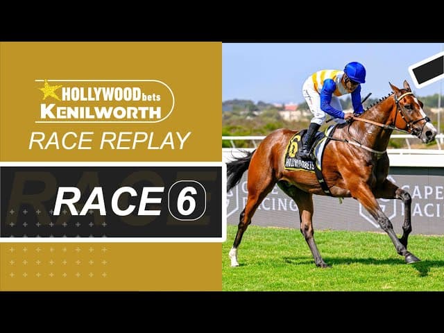 Dave The King - Hollywoodbets Kenilworth, 13 December 2025