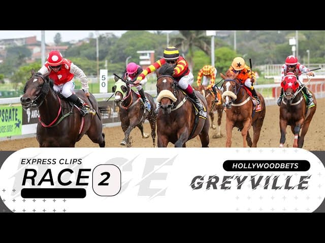 Gotta Go Eddie - HWB Greyville, 1 August 2025